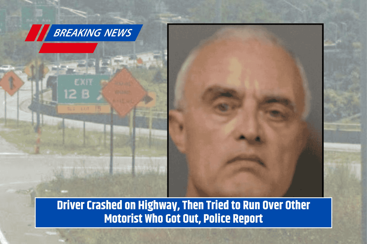 Driver Crashed on Highway, Then Tried to Run Over Other Motorist Who Got Out, Police Report