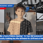 'Like a Pack of Wolves Hunting': 16-Year-Old Sentenced for Fatally Stabbing Boy Who Defended His Girlfriend at Mall