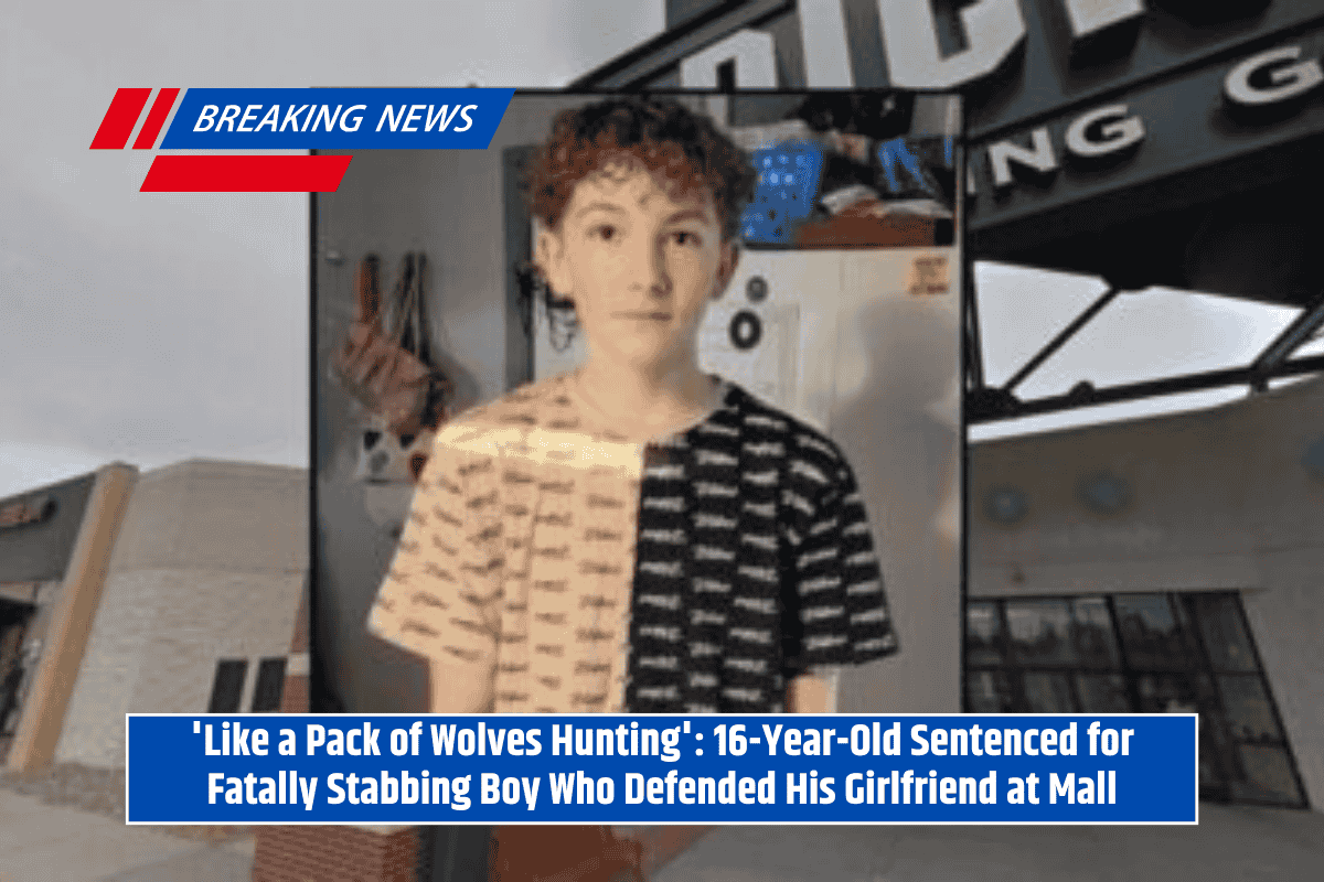 'Like a Pack of Wolves Hunting': 16-Year-Old Sentenced for Fatally Stabbing Boy Who Defended His Girlfriend at Mall