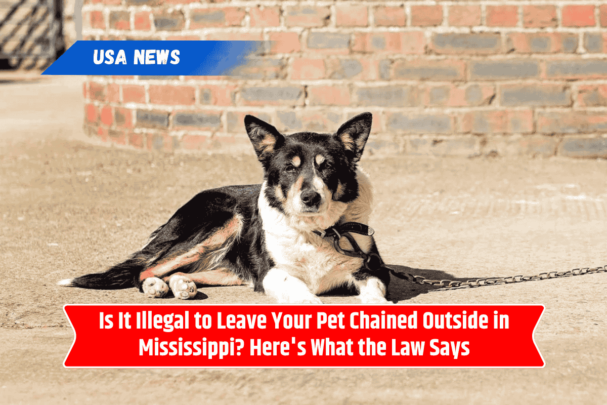Is It Illegal to Leave Your Pet Chained Outside in Mississippi? Here's What the Law Says