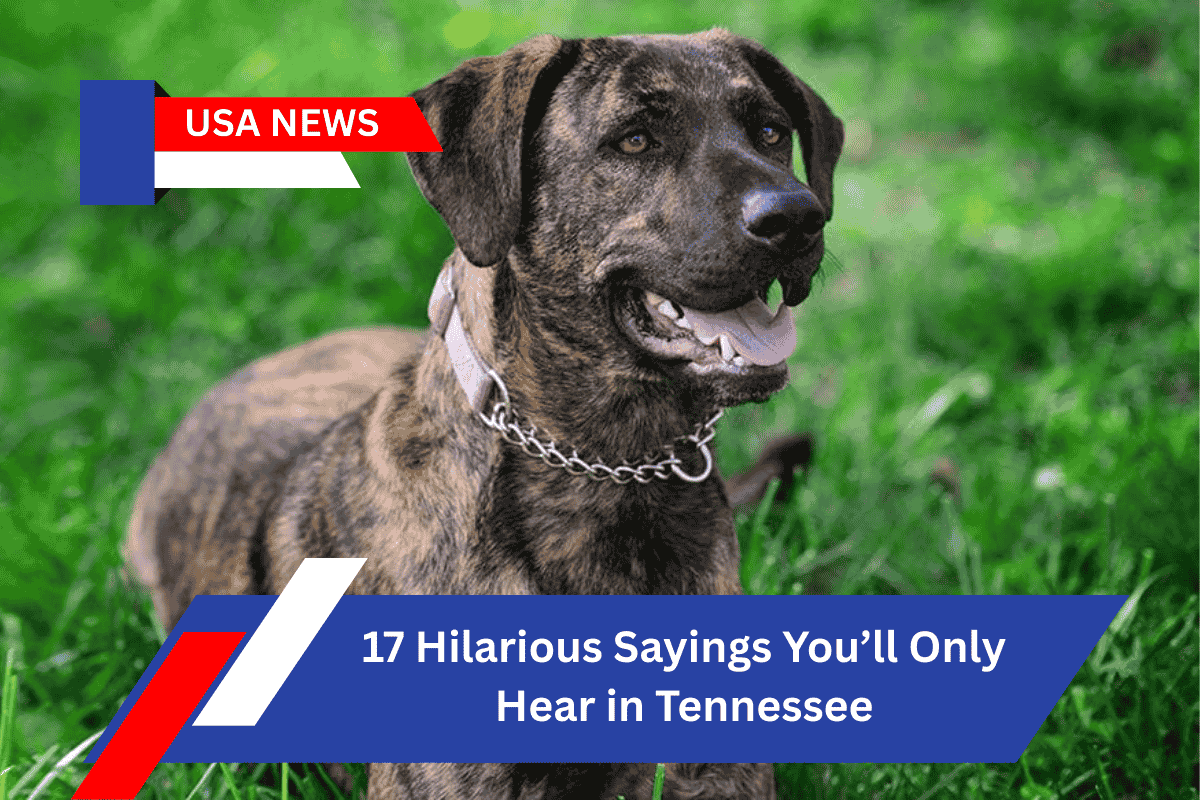 17 Hilarious Sayings You’ll Only Hear in Tennessee